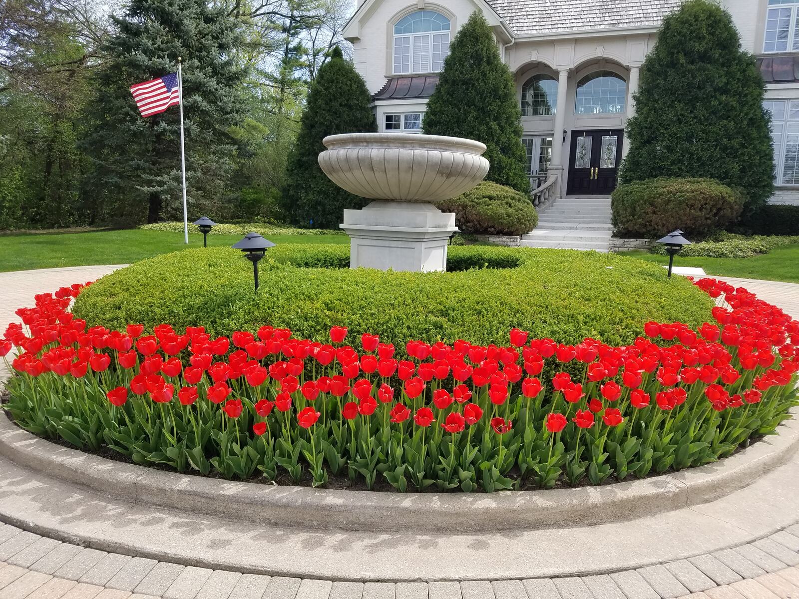 Commercial landscape services — Bertog Landscape